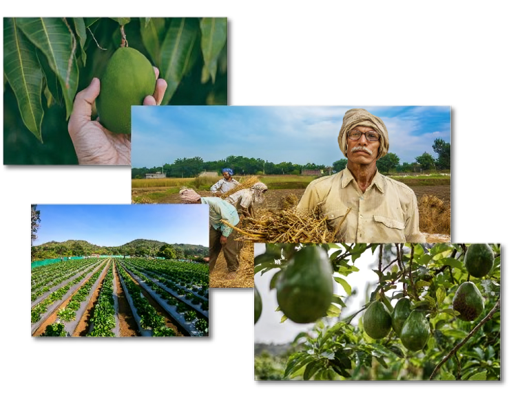 How we plant your trees image